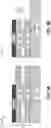 Fig. 04 - Vertical transistor with one atomic layer gate length