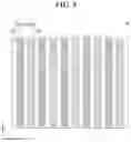 Fig. 04 - Solar cell module and method for manufacturing the same