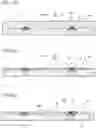 Fig. 07 - Light emitting module and method of manufacturing the same