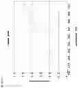 Fig. 16 - Method for manufacturing lighting device