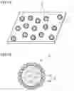 Fig. 06 - Phosphor containing particle, and light emitting device and phosphor containing sheet using the same