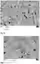 Fig. 05 - Alloy, sintered article, thermoelectric module and method for the production of a sintered article