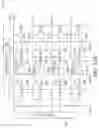 Fig. 36 - Resistive memory architectures with multiple memory cells per access device