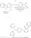 Fig. 22 - ORGANIC ELECTROLUMINESCENT MATERIALS AND DEVICES