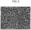 Fig. 04 - Method for manufacturing separator-integrated electrode, and separator-integrated electrode