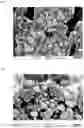 Fig. 03 - CORE-SHELL COMPOSITE PARTICLES FOR ANODE MATERIALS OF LITHIUM ION BATTERIES