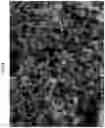 Fig. 06 - Carbon material for catalyst carrier of polymer electrolyte fuel cell, and method of producing the same