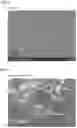 Fig. 04 - All solid state battery and method for producing all solid state battery