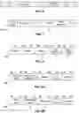 Fig. 06 - Training method and system for directional transmission in wireless communication