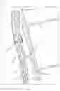 Fig. 02 - Enhanced antenna systems