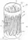 Fig. 01 - Electrical socket with contoured contact beams