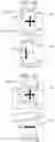 Fig. 24 - Crimp terminal with ridge portion and manufacturing method thereof