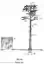 Fig. 35 - Utility pole with solar modules and wireless device and method of retrofitting existing utility pole