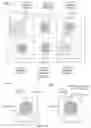 Fig. 50 - Efficiencies and flexibilities in inductive (wireless) charging