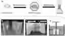 Fig. 01 - Devices and methods for clearing and molecular labeling of intact tissues