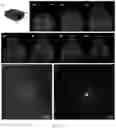 Fig. 04 - Devices and methods for clearing and molecular labeling of intact tissues