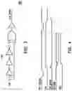 Fig. 04 - Physical unclonable device and method of maximizing existing process variation for a physically unclonable device