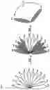 Fig. 05 - USER EQUIPMENT AND BASE STATION