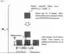 Fig. 06 - USER EQUIPMENT AND BASE STATION