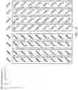 Fig. 17 - Linear precoding in full-dimensional MIMO systems and dynamic vertical sectorization