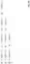 Fig. 14 - Low complexity beamforming with compressed feedback