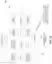 Fig. 18 - Service layer time synchronization