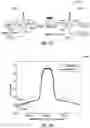 Fig. 20 - Systems and methods for full duplex coherent optics