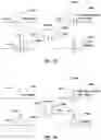 Fig. 28 - Systems and methods for full duplex coherent optics