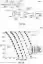 Fig. 36 - Systems and methods for full duplex coherent optics