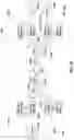 Fig. 40 - Systems and methods for full duplex coherent optics