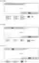 Fig. 07 - User terminal and radio communication method