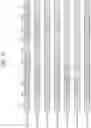 Fig. 13 - Transmitting NPUSCH and wireless device thereof