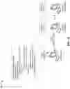 Fig. 02 - Secure verification of conditions of a contract using a set of verification tools