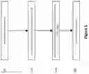 Fig. 07 - Apparatus and method for direct quantum cryptography system implementation over WDM telecommunication network