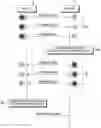 Fig. 01 - Apparatus and method for generating security key in wireless communication system