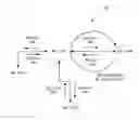 Fig. 01 - SYSTEM AND METHOD OF HANDLING A FAULT DETECTION MECHANISM DURING A CONTROL PLANE FAILOVER