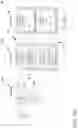 Fig. 11 - Validation of layer 2 interface and VLAN in a networked environment