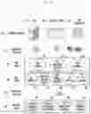 Fig. 11 - Method and apparatus for managing user quality of experience (QoE) in mobile communication system