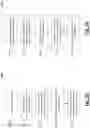 Fig. 09 - Hardware-based device authentication