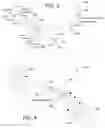 Fig. 04 - Methods and apparatus for varying soft information related to the display of hard information