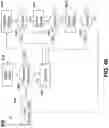 Fig. 77 - System and method for improving internet communication by using intermediate nodes