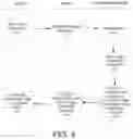 Fig. 05 - Ordinary write in distributed system maintaining data storage integrity