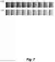 Fig. 08 - Linearizing print outputs for a printing system