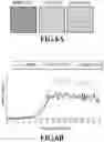 Fig. 07 - Image processing apparatus and image processing method quantizing first and second gradation data to generate first and second quantization data