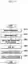 Fig. 04 - Portable device and method for adjusting settings of images taken therewith