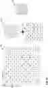 Fig. 15 - Combined monochrome and chromatic camera sensor