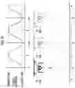 Fig. 09 - Imaging apparatus and image composition apparatus
