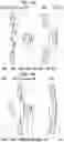 Fig. 20 - Imaging apparatus and image composition apparatus
