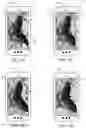 Fig. 07 - Image orientation notification and adjustment