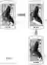 Fig. 09 - Image orientation notification and adjustment